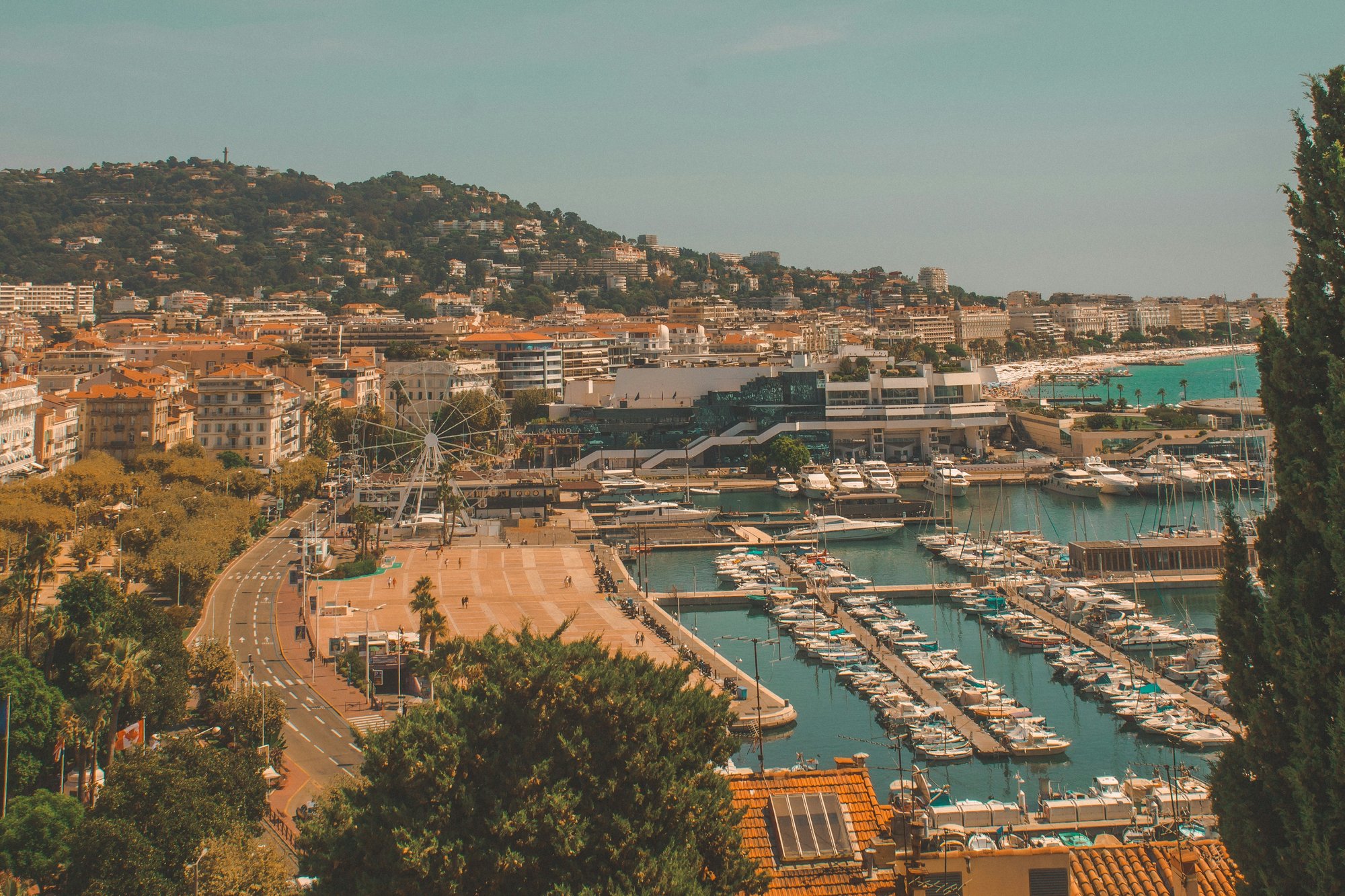 diane-picchiottino-45s4OKzoQys-unsplash
